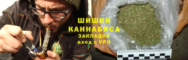 дурь Арсеньев