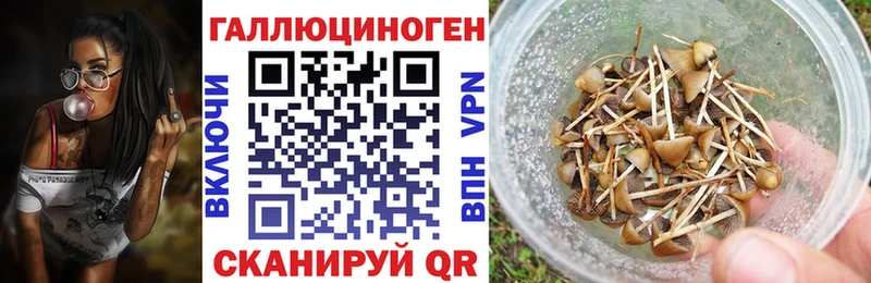 mega ССЫЛКА  Новоульяновск  Псилоцибиновые грибы Psilocybe  купить закладку 